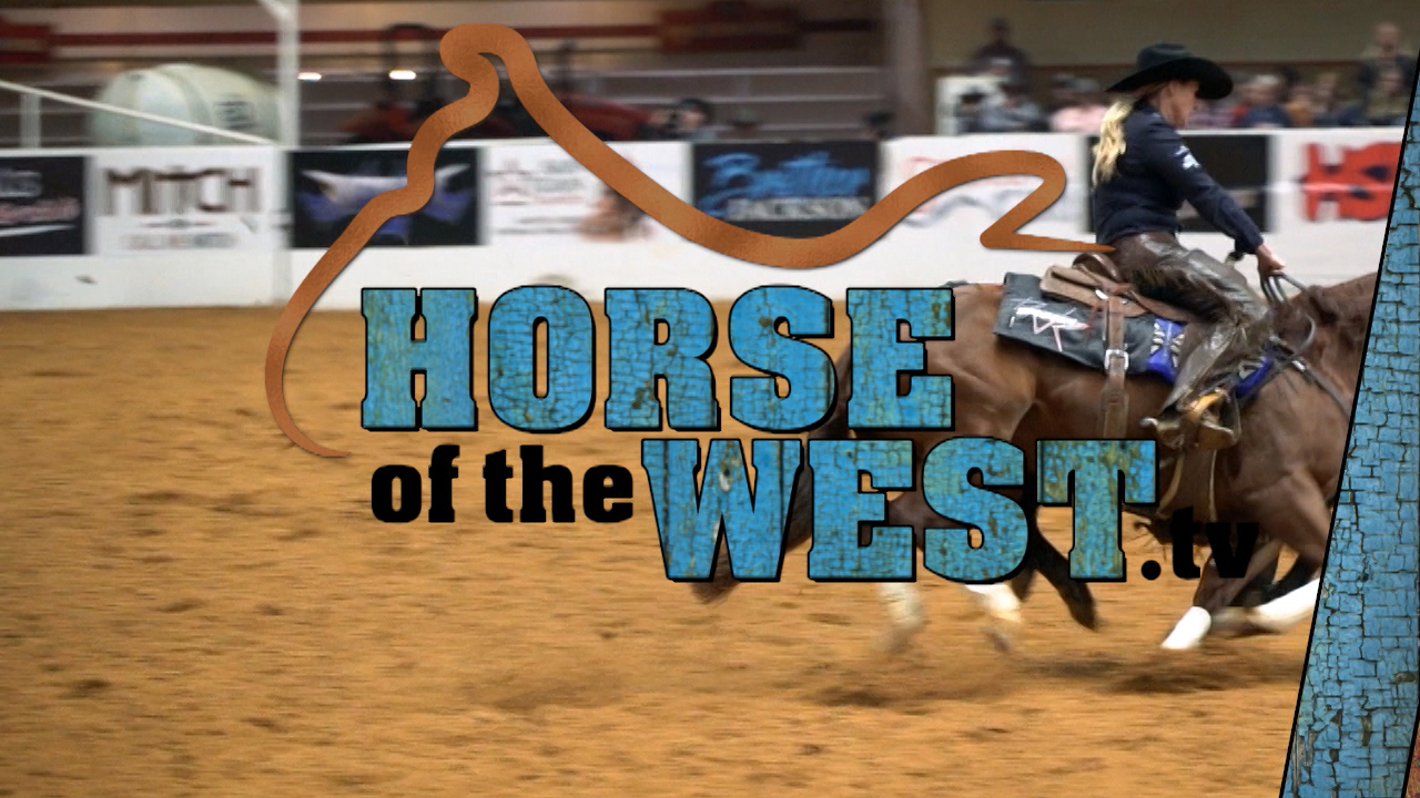Horse Of The West The Cowboy Channel Plus
